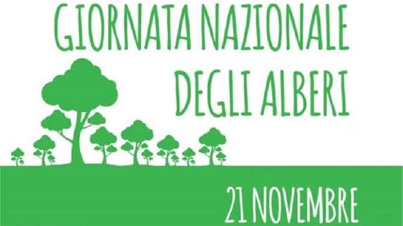 Alberi per il Futuro 2024: il M5S di Novi celebra la Giornata Nazionale dell’Albero