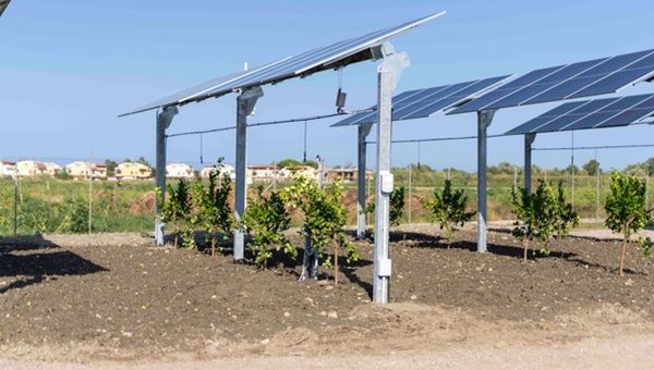 Un nuovo impianto agrivoltaico tra Pozzolo e Bosco Marengo